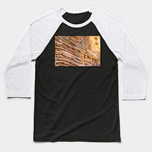 Lick Wash Trail Hike Baseball T-Shirt